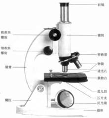 模具曬紋中用的顯微鏡